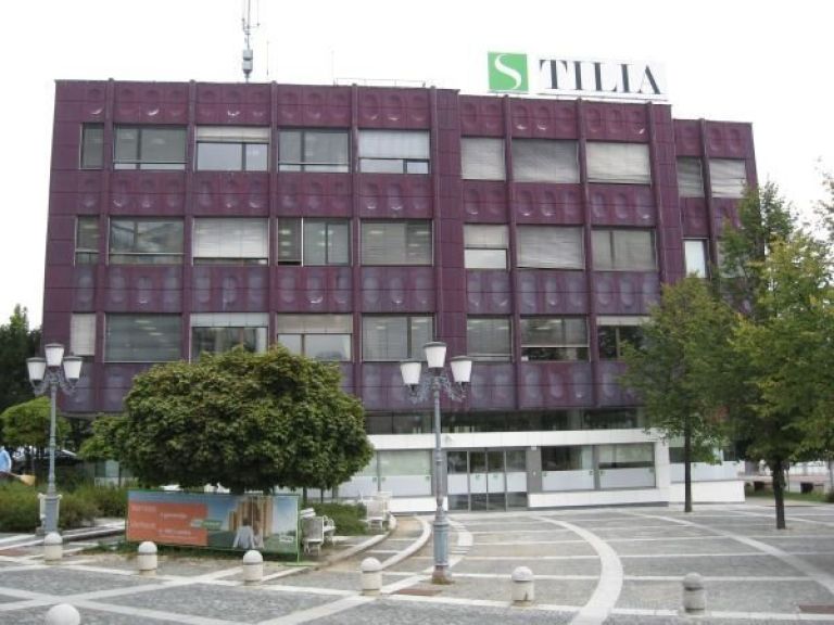 tilia.jpg