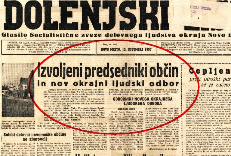 dolenjski_bukovec_izsek.jpg