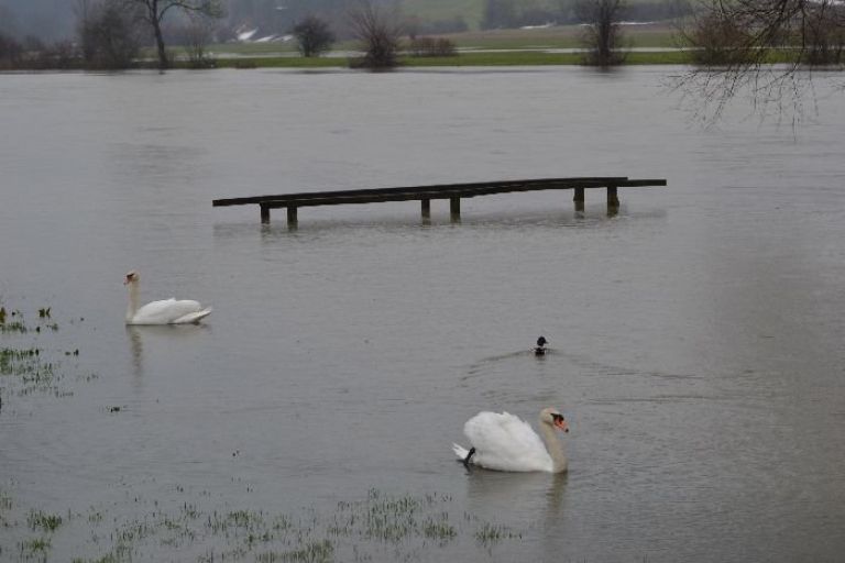 poplave0007.jpg