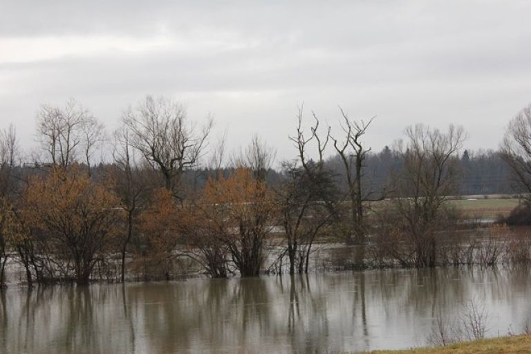 poplave_krka_bdg.jpg