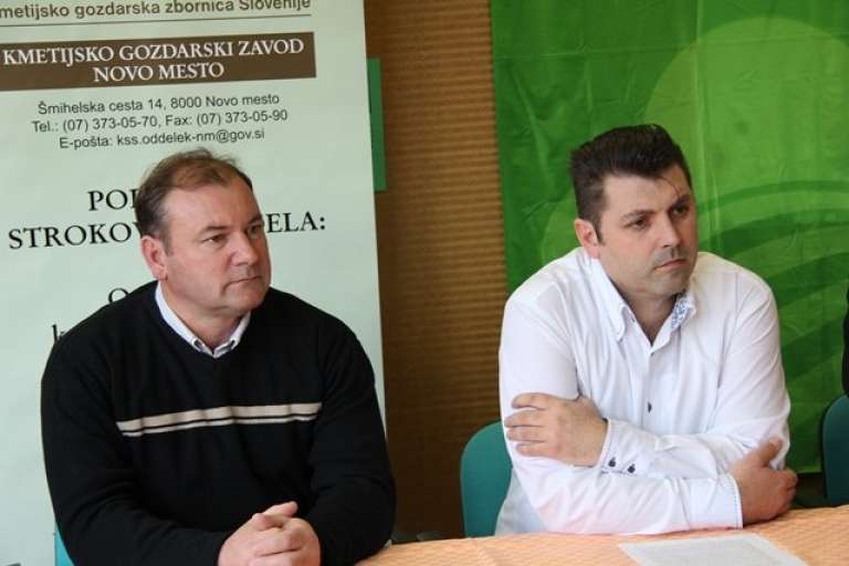 kralj_cvi__ka_03.jpg