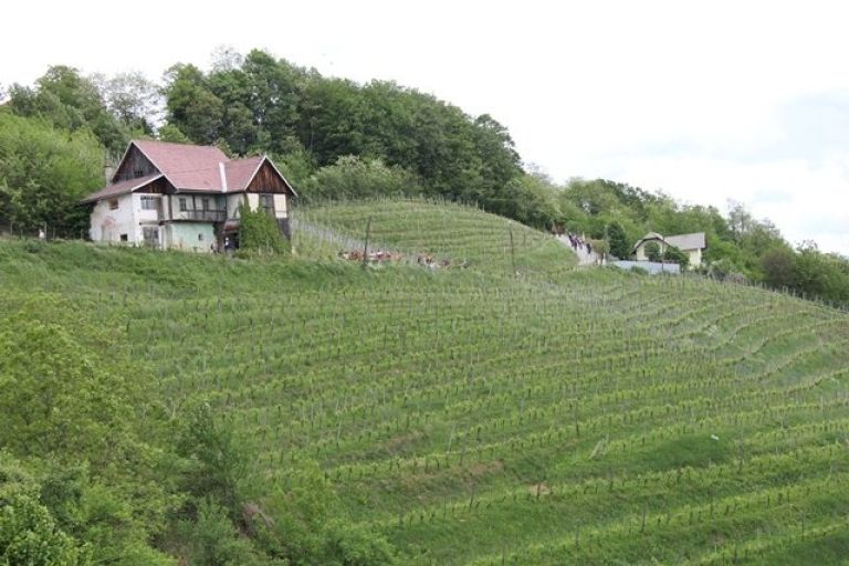 po_slakovi_poti_038.jpg