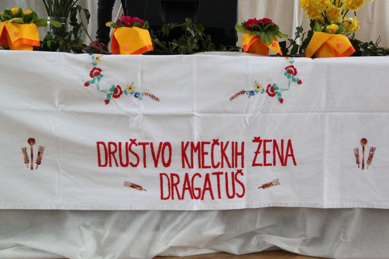 t_dragatus_001.jpg