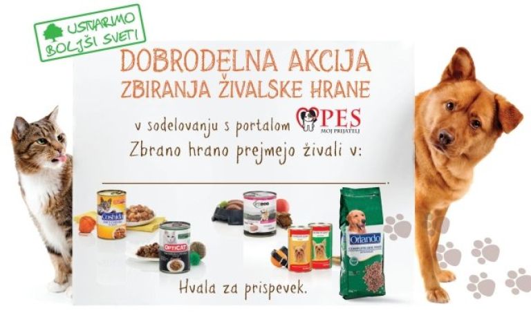 lidl2.jpg