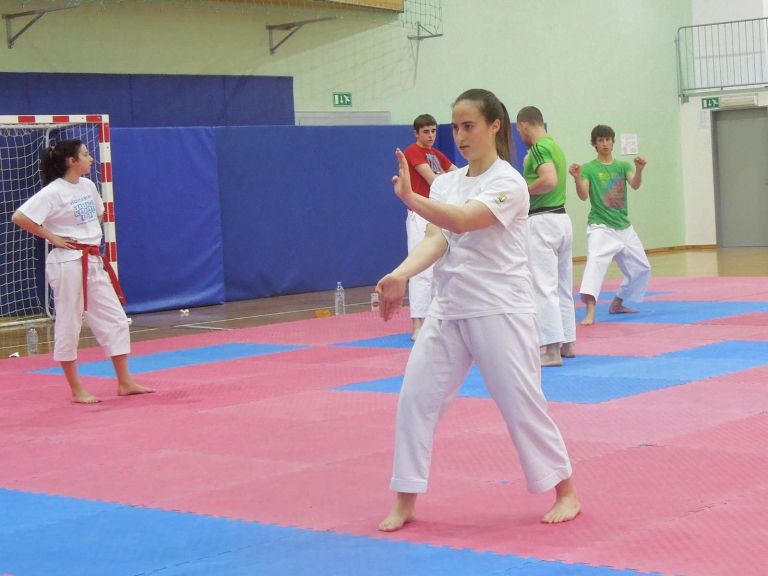 z_karate_010.jpg