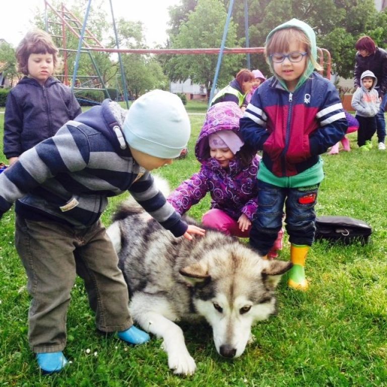 photo_1__2_.jpg