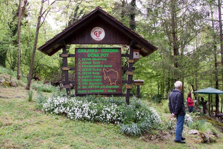 dpz_001.jpg