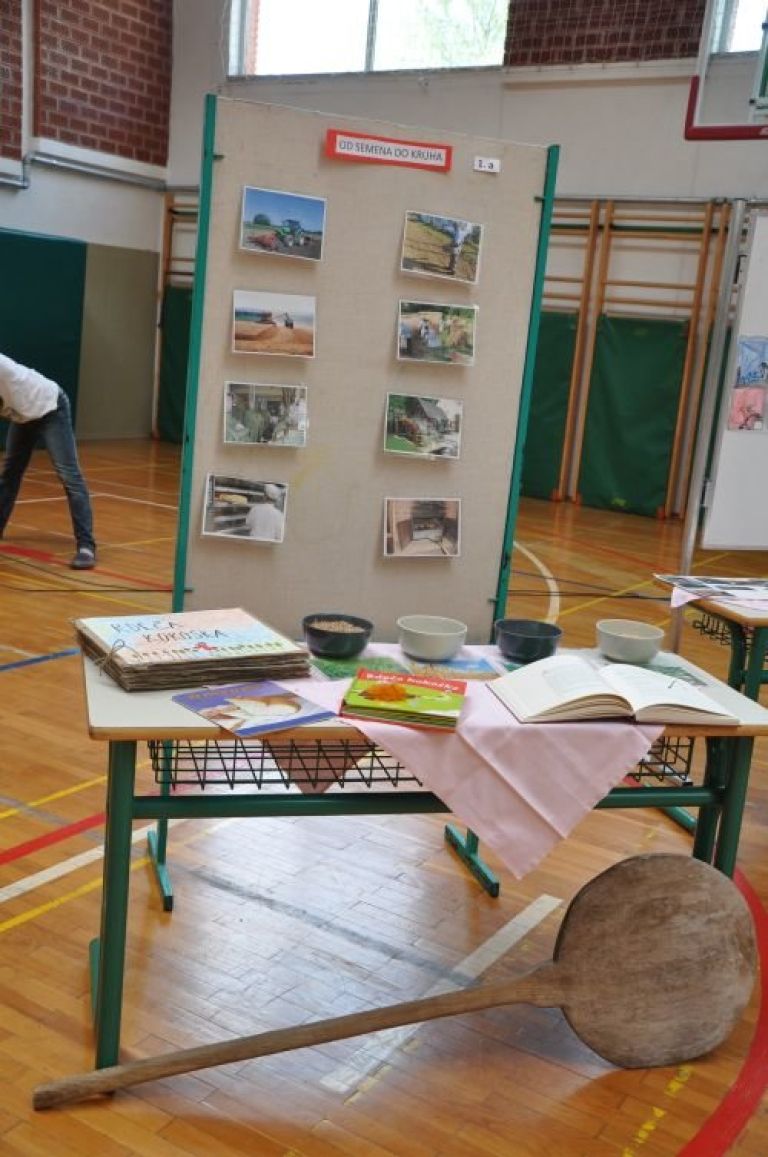 e_projekt_001.jpg