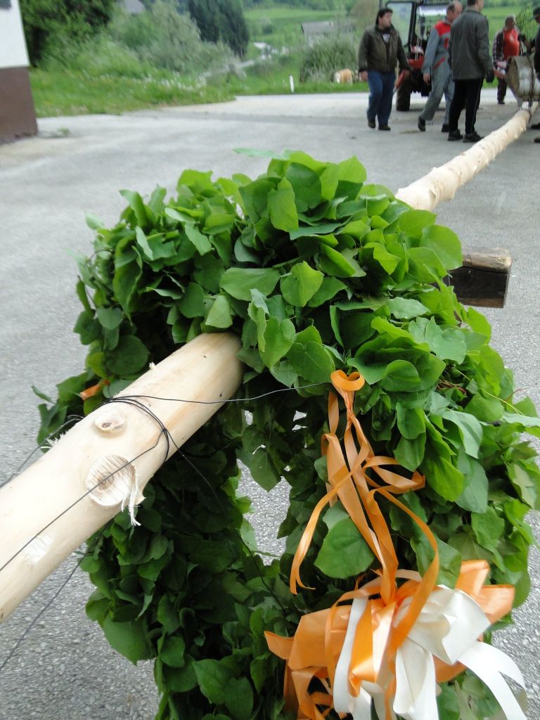 n_mlaj_001.jpg