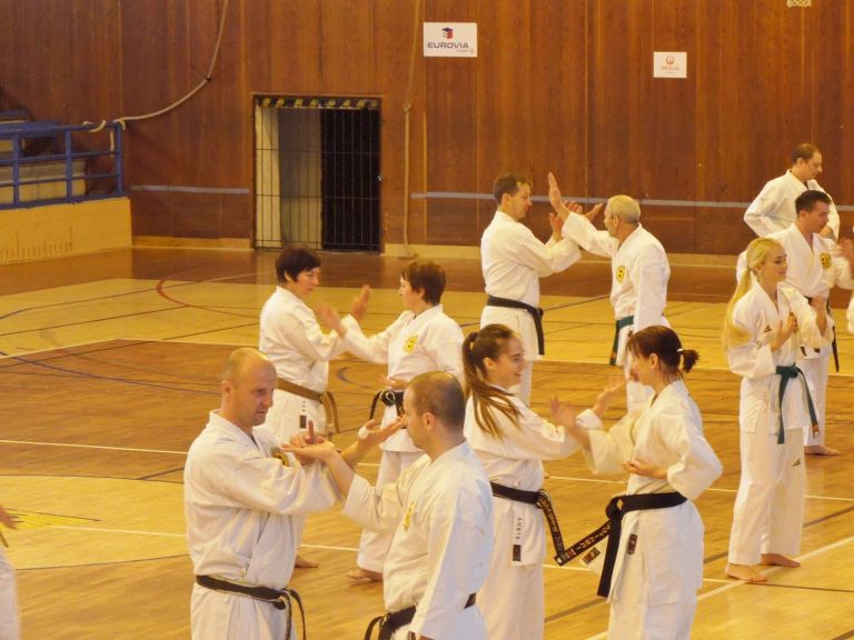 z_karate_001.jpg