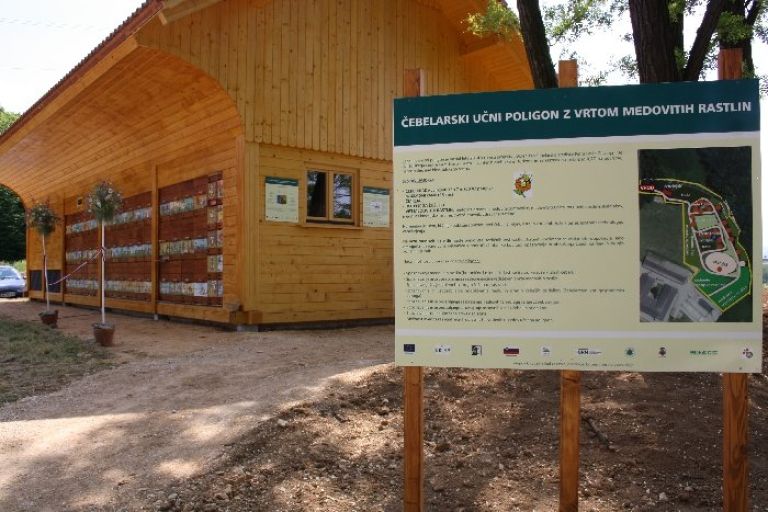cebele008.jpg