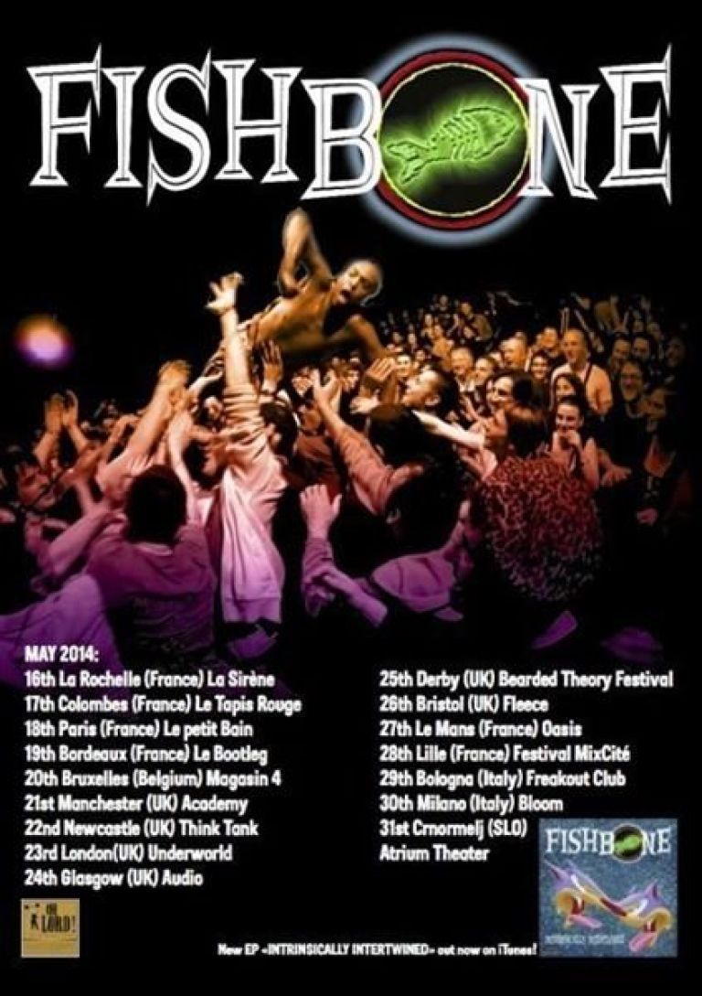 fishbone2.jpg