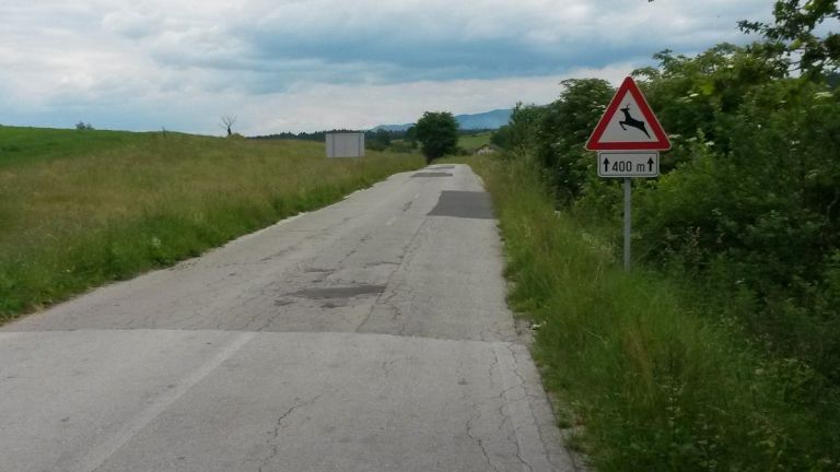 otocec_lesnica_05.jpg