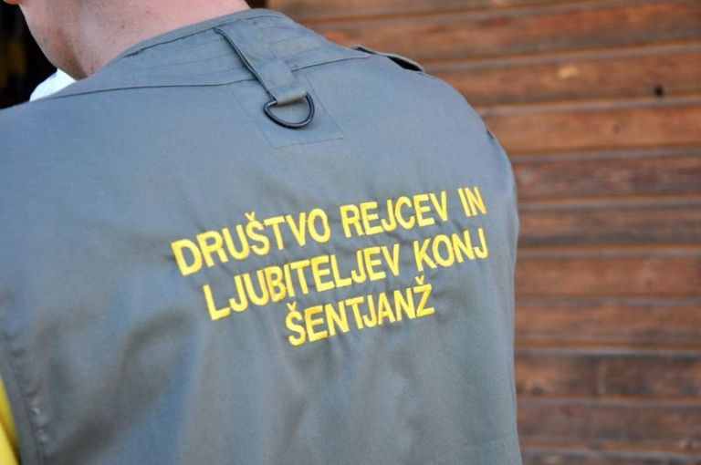 z_konjenico_001.jpg
