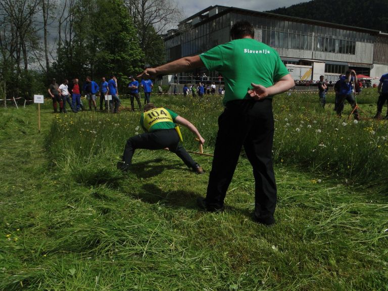 david_avgu__tin__i___avstrija.jpg