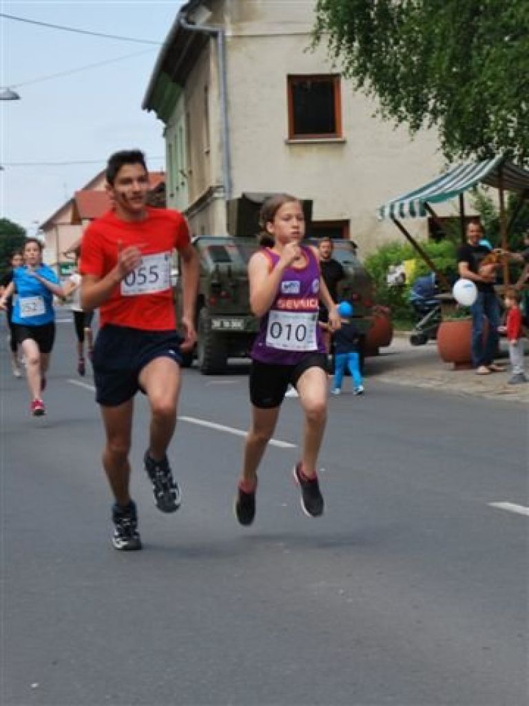 z_trebnje_001.jpg