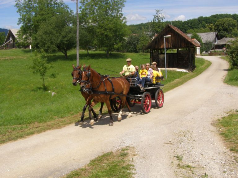 p6150062_000.jpg