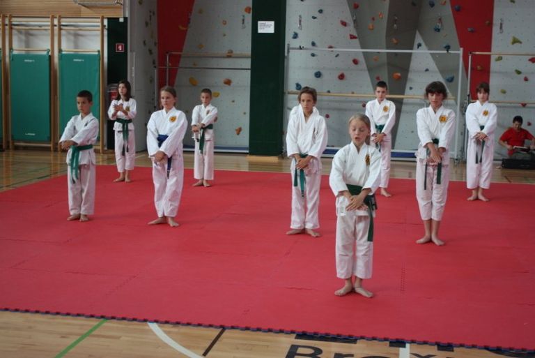 z_karate_001.jpg