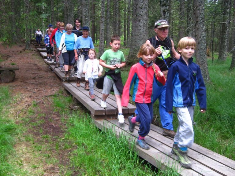 l_pohorje_029.jpg