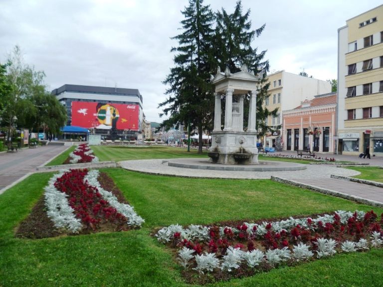 p1140122_000.jpg