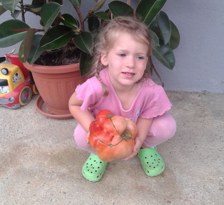 z_20140805_180502.jpg