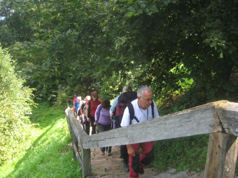 d_gorjanci_001.jpg