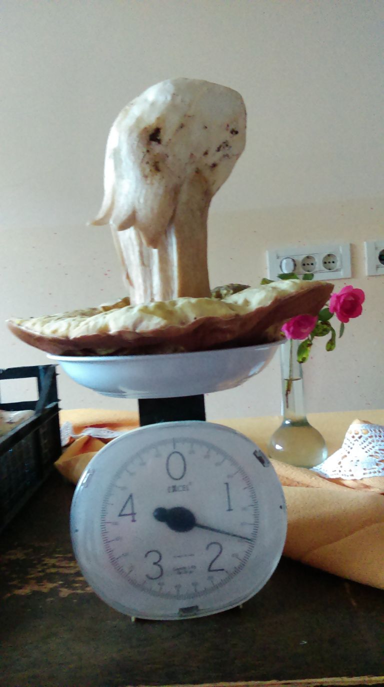 imag0557.jpg