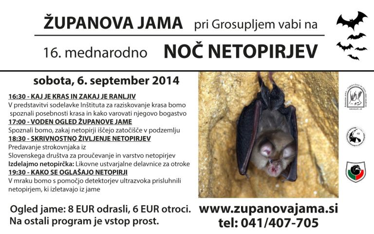 noc_netopirjev2014_web.jpg