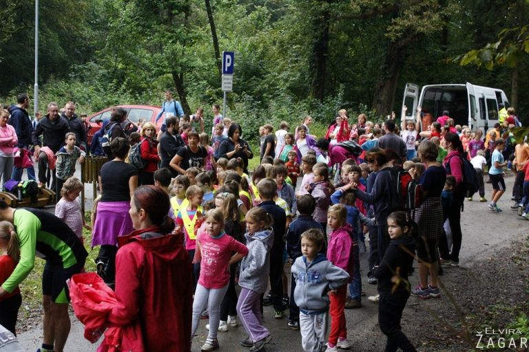 tek__foto_elvira_zagar__1_.jpg