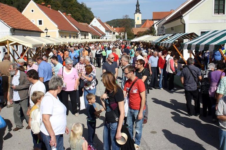 praznik_kozjanskega_jabolka_2014__96_.jpg