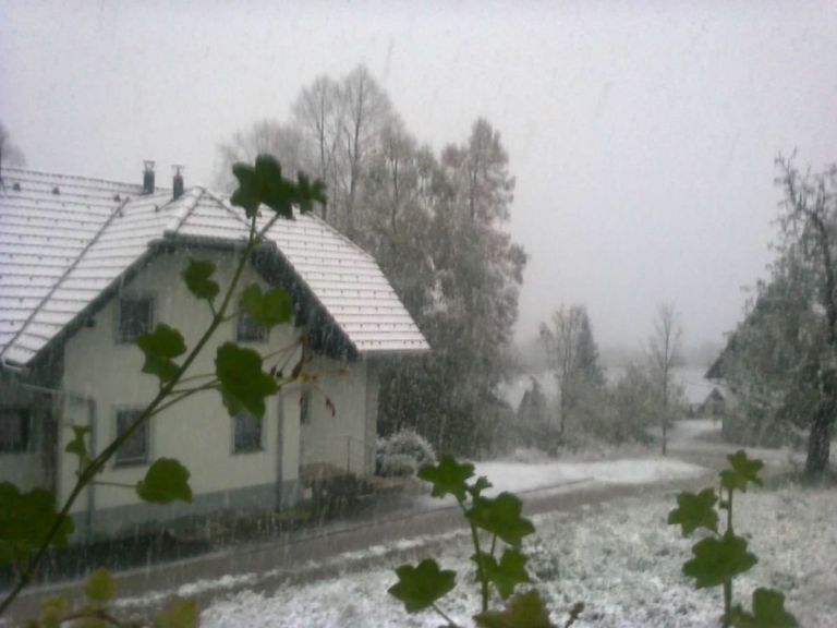 prvi_sneg.jpg