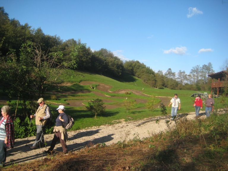 goli_vrh_07.jpg