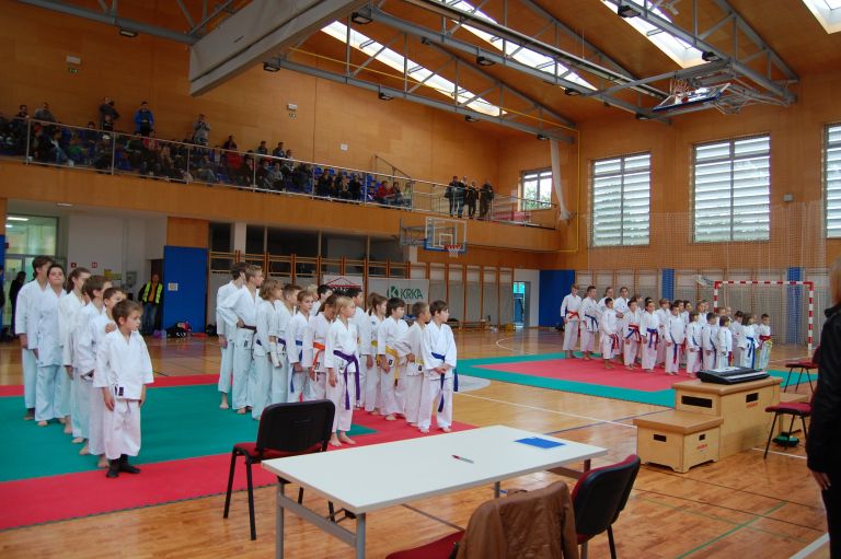z_karate_001.jpg