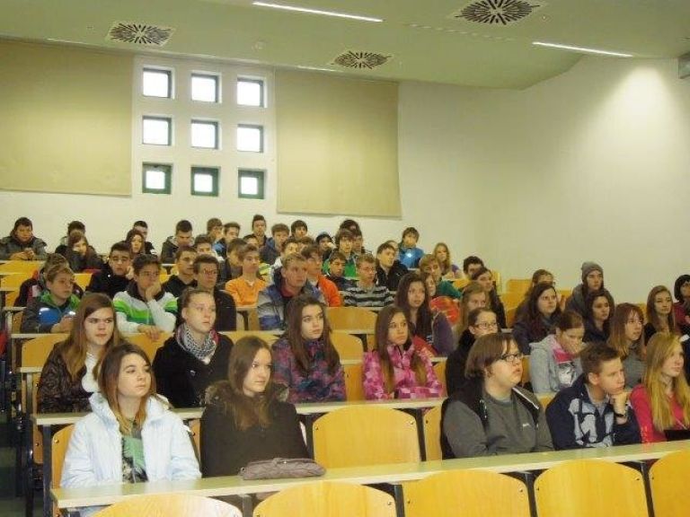 z_brezice_05.jpg