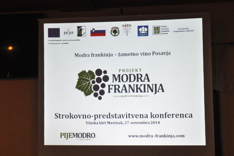 modro_010.jpg