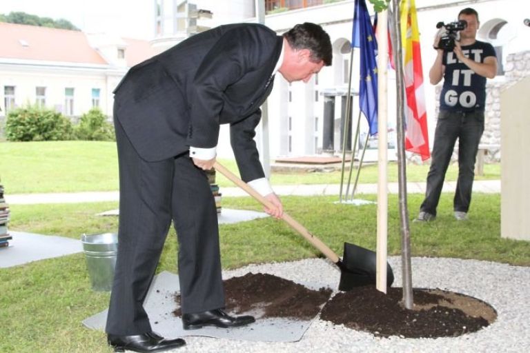pahor_lipa.jpg