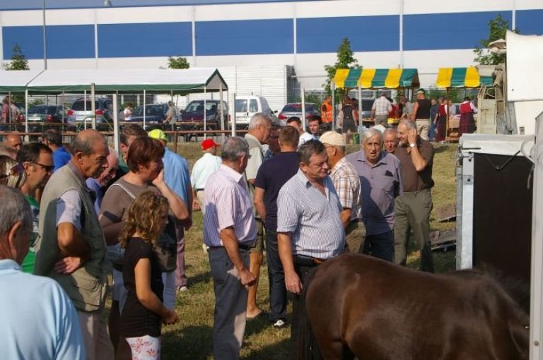 s_zivali.jpg