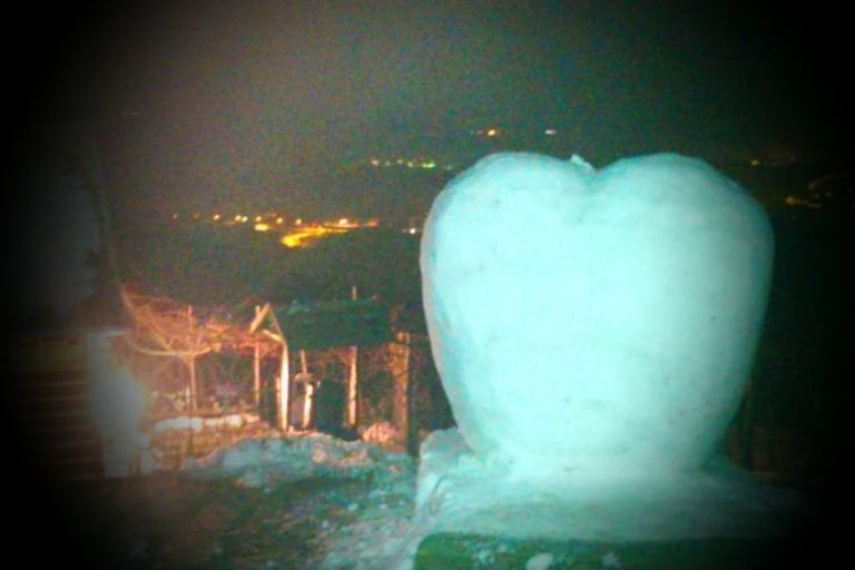 nm_srce_05.jpg