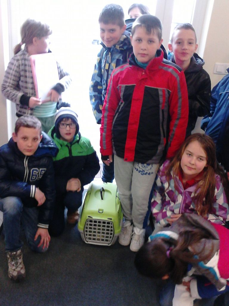 veterinarska_postaja___01.jpg