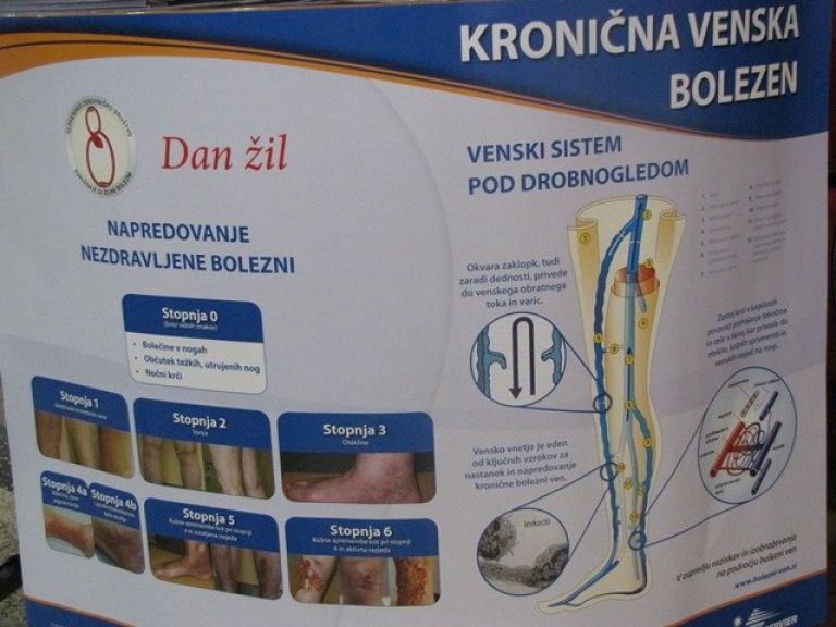 z_dan_01.jpg