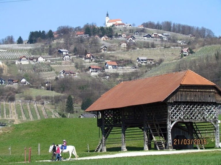 v_gora_04.jpg