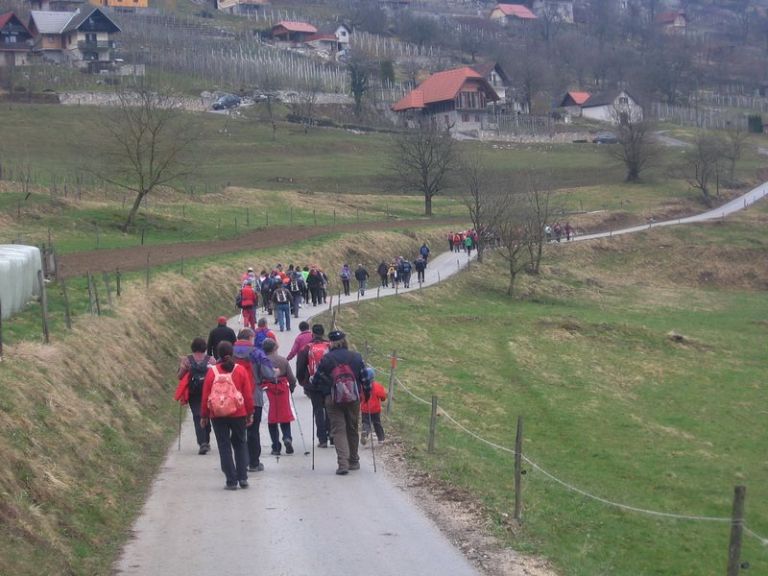 v_dvor_23.jpg