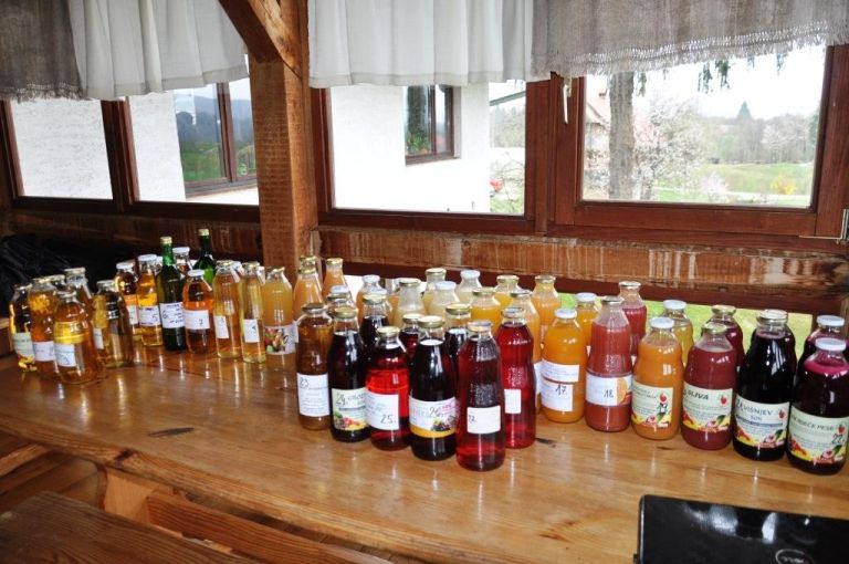 sokovi_za_ocenjevanje.jpg