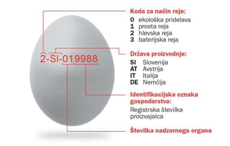 z_jajca.jpg