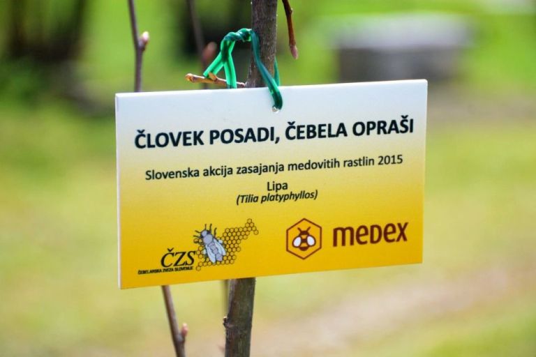 cebele_002.jpg