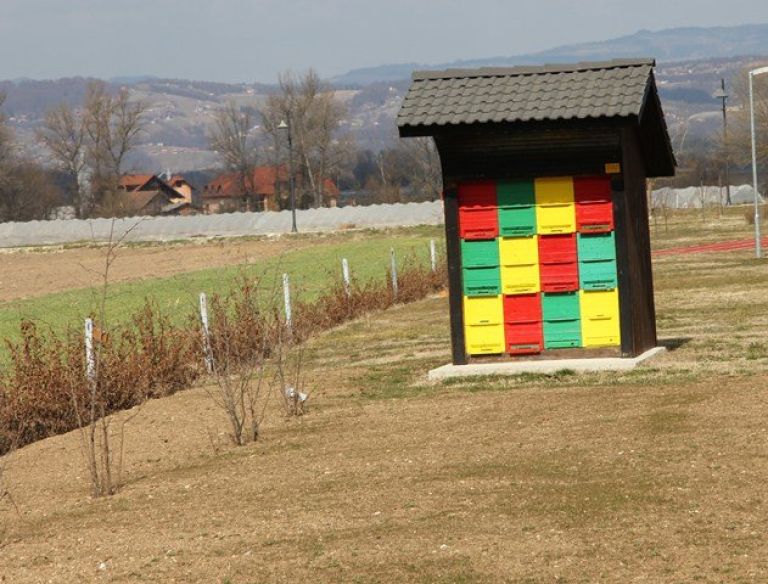 cebelnjak_bdg.jpg