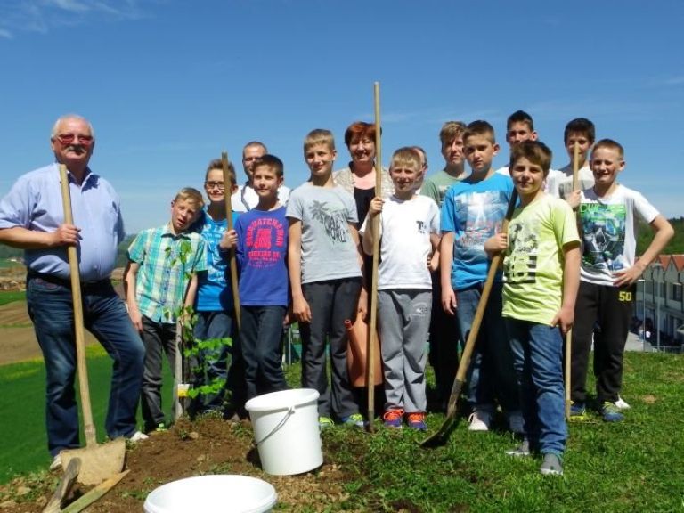 sajenje_drevja_018.jpg