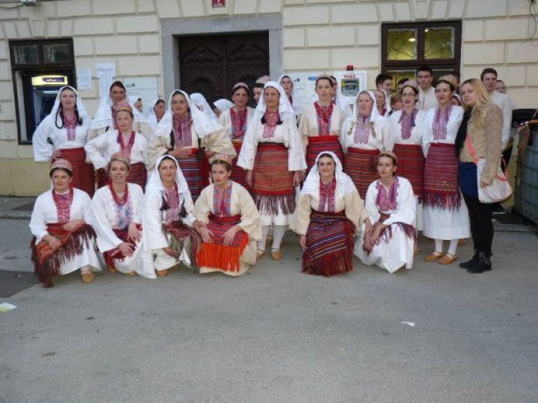 vigred_2014.jpg