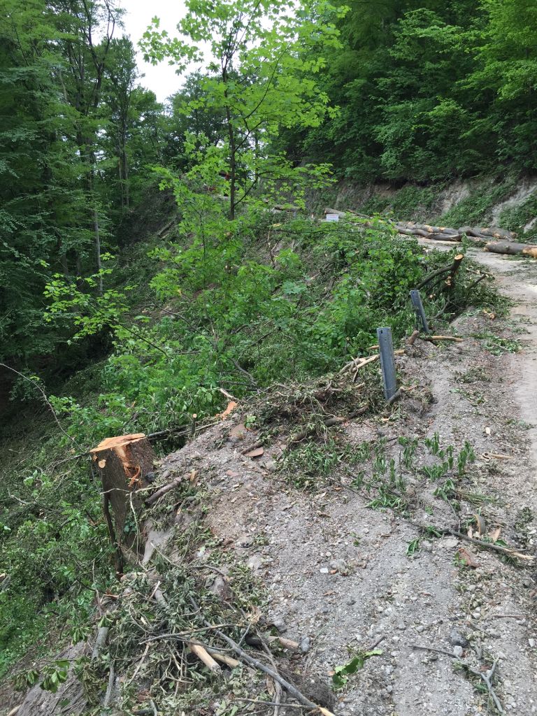 CESTA NA DOBOVEC 2205.jpg