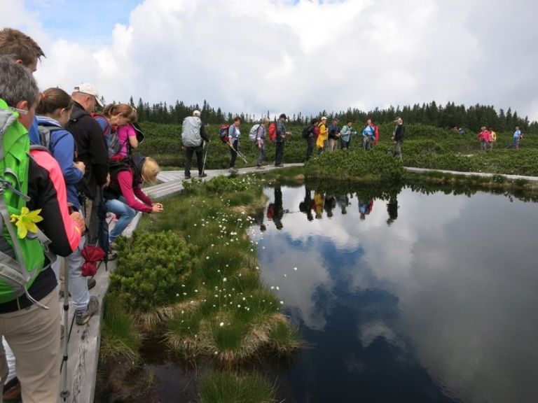 _lovrenska_j___2015_10__1_.jpg